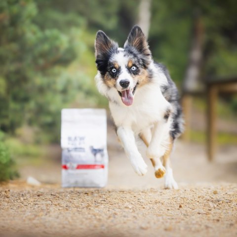 VetExpert Raw Paleo Ultra Wołowina Medium&Large Puppy 2kg VetExpert Raw Paleo Ultra Wołowina Medium&Large Puppy 2kg
