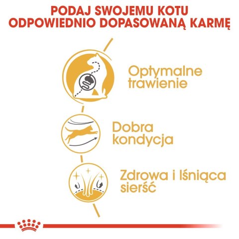 ROYAL CANIN Bengal Adult - sucha karma dla dorosłego kota - 2 kg
