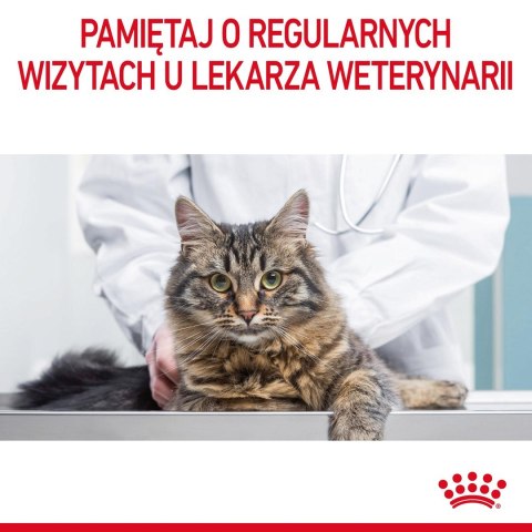 ROYAL CANIN FCN Digestive Care - sucha karma dla kota dorosłego - 4 kg