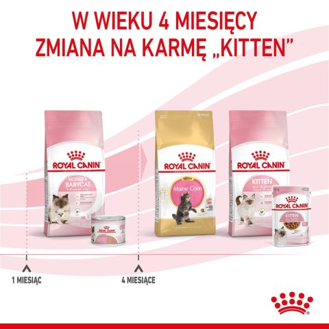 ROYAL CANIN FHN Babycat Instinctive Feline mus - mokra karma dla kociąt - puszka - 195 g ROYAL CANIN FHN Babycat Instinctive Feline mus - mokra karma dla kociąt - puszka - 195 g