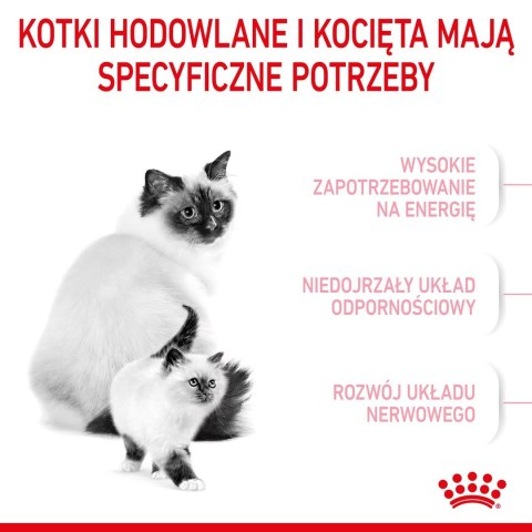 ROYAL CANIN Mother & Babycat 34 0,4kg ROYAL CANIN Mother & Babycat 34 0,4kg