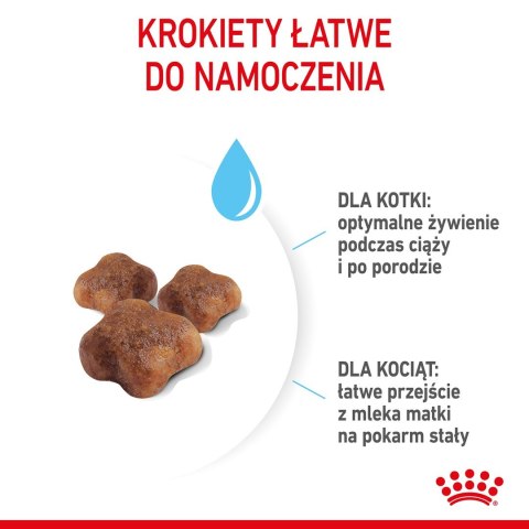 ROYAL CANIN Mother & Babycat 34 0,4kg ROYAL CANIN Mother & Babycat 34 0,4kg