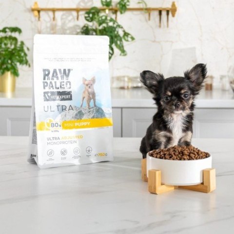 VetExpert Raw Paleo Ultra Indyk Mini Puppy 750g VetExpert Raw Paleo Ultra Indyk Mini Puppy 750g