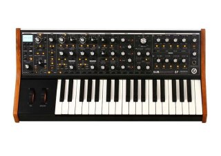 MOOG SUBsequent 37 - syntezator analogowy