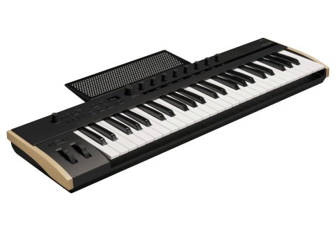 Korg KEYSTAGE 49 - Klawiatura sterująca