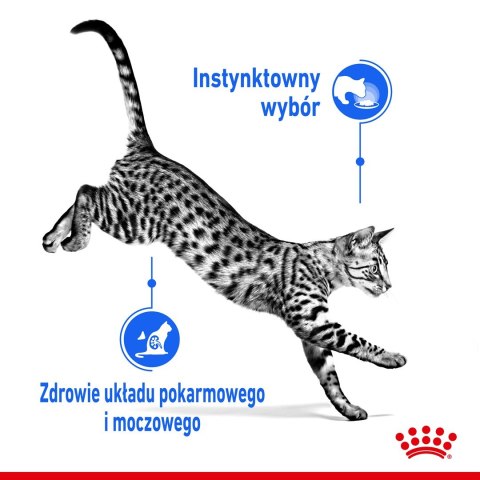 ROYAL CANIN FHN Indoor w sosie - mokra karma dla kota dorosłego - 12x85g