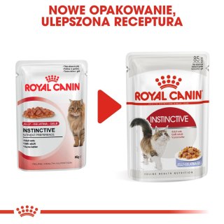 ROYAL CANIN FHN Instinctive w galaretce - mokra karma dla kota dorosłego - 12x85g