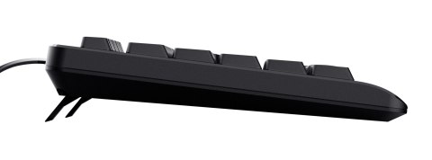 Klawiatura TRUST TK-150 KEYBOARD US (23980)