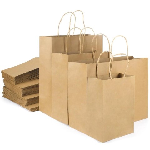 BSTech Torba Papierowa z rączką brązowa 250x120x330 25 szt 120 gsm BSTech Torba Papierowa z rączką brązowa 250x120x330 25 szt 120 gsm