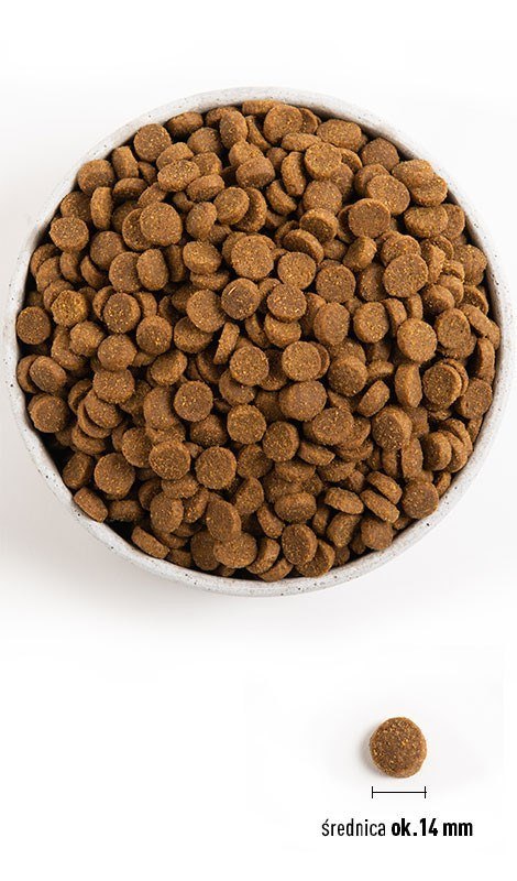 ACANA Wild Coast Dog 2kg (N) ACANA Wild Coast Dog 2kg (N)