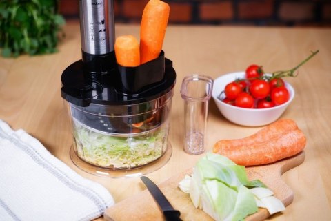 Eldom Blender Wielofunkcyjny BL220 MOX, 1000W