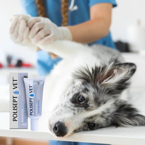 JM SANTE POLISEPT VET GEL PRO SILVER opatrunek żelowy 30ml JM SANTE POLISEPT VET GEL PRO SILVER opatrunek żelowy 30ml