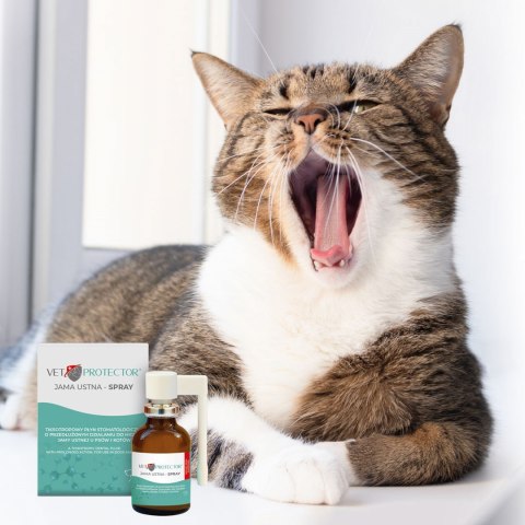 JM SANTE VET PROTECTOR JAMA USTNA SPRAY 30ml JM SANTE VET PROTECTOR JAMA USTNA SPRAY 30ml