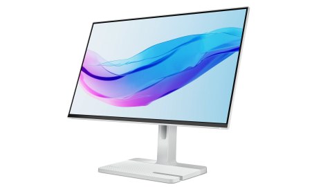 Lenovo L24m-4A 23.8"FHD IPS 100Hz 250nits AG HDMI DP USB Cloud Grey