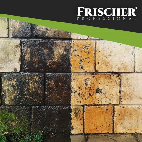 Płyn do czyszczenia elewacji Frischer 5l Płyn do czyszczenia elewacji Frischer 5l