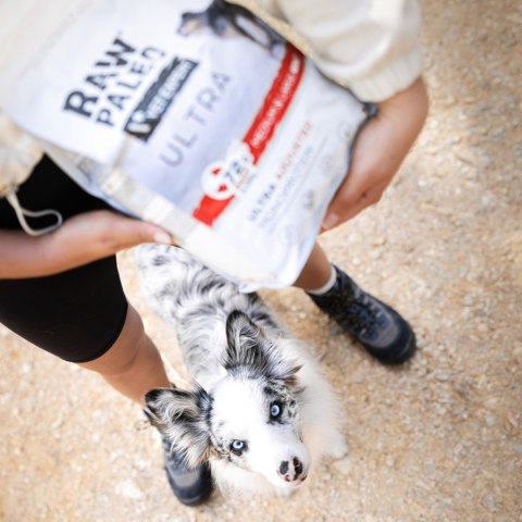 VetExpert Raw Paleo Ultra Wołowina Mini Adult 2kg (WYPRZEDAŻ) VetExpert Raw Paleo Ultra Wołowina Mini Adult 2kg (WYPRZEDAŻ)