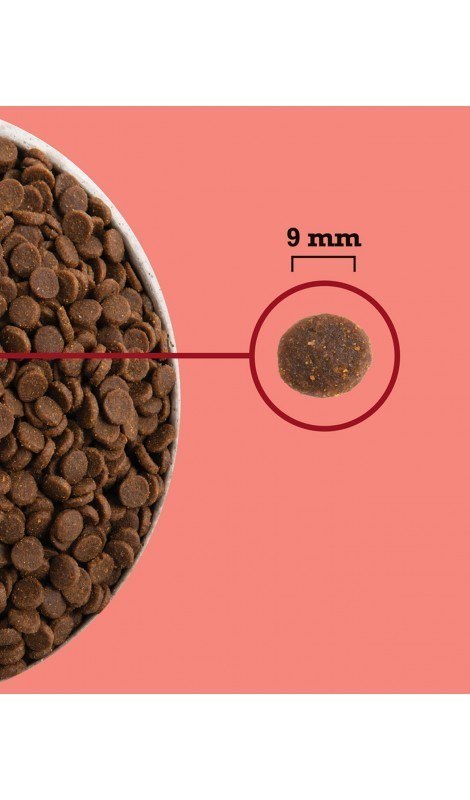 ACANA Highest Protein Indoor Cat 1,8kg ACANA Highest Protein Indoor Cat 1,8kg