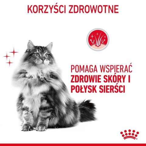 ROYAL CANIN Hair & Skin Care 0,4kg ROYAL CANIN Hair & Skin Care 0,4kg