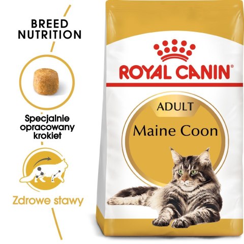 Royal Canin FBN Maine Coon Adult - sucha karma dla kota dorosłego - 4kg Royal Canin FBN Maine Coon Adult - sucha karma dla kota dorosłego - 4kg