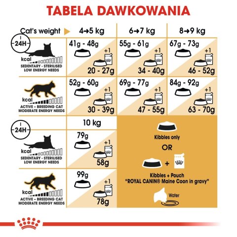 Royal Canin FBN Maine Coon Adult - sucha karma dla kota dorosłego - 4kg Royal Canin FBN Maine Coon Adult - sucha karma dla kota dorosłego - 4kg