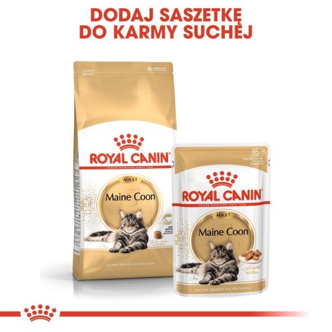 Royal Canin FBN Maine Coon Adult - sucha karma dla kota dorosłego - 4kg Royal Canin FBN Maine Coon Adult - sucha karma dla kota dorosłego - 4kg