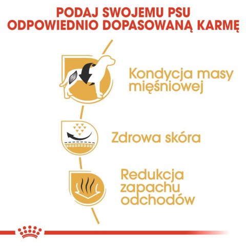 ROYAL CANIN BHN French Bulldog Adult - sucha karma dla psa dorosłego - 9kg ROYAL CANIN BHN French Bulldog Adult - sucha karma dla psa dorosłego - 9kg