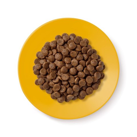 Applaws Cat Dry Senior Chicken 2kg Applaws Cat Dry Senior Chicken 2kg