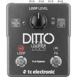 TC Electronic Ditto Looper X2 - efekt gitarowy TC Electronic Ditto Looper X2 - efekt gitarowy