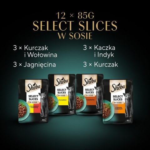 SHEBA Selection in Sauce Soczyste Smaki