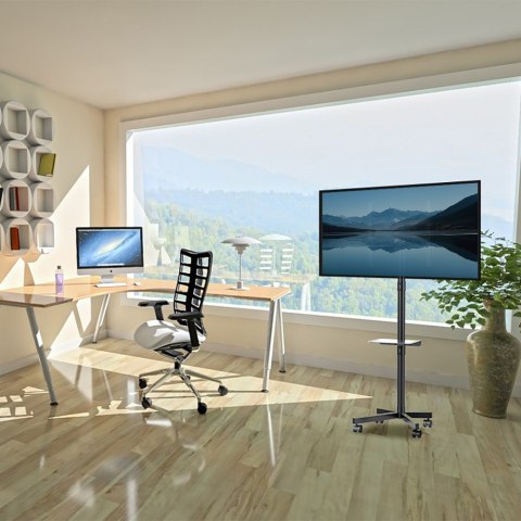 MACLEAN PROFESJONALNY,32-55", NA KÓŁKACH, MAX. VESA 400X400, MAX. 25KG MC-949