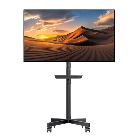 MACLEAN PROFESJONALNY,32-55", NA KÓŁKACH, MAX. VESA 400X400, MAX. 25KG MC-949