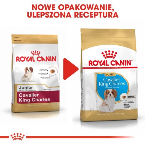 ROYAL CANIN BHN Cavalier King Charles Spaniel Puppy - sucha karma dla szczeniąt - 1,5 kg