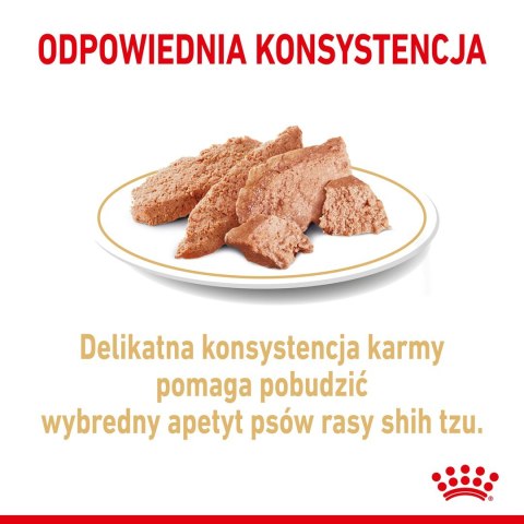 ROYAL CANIN BHN Shih Tzu Adult w formie pasztetu - mokra karma dla psa dorosłego - 12x85g