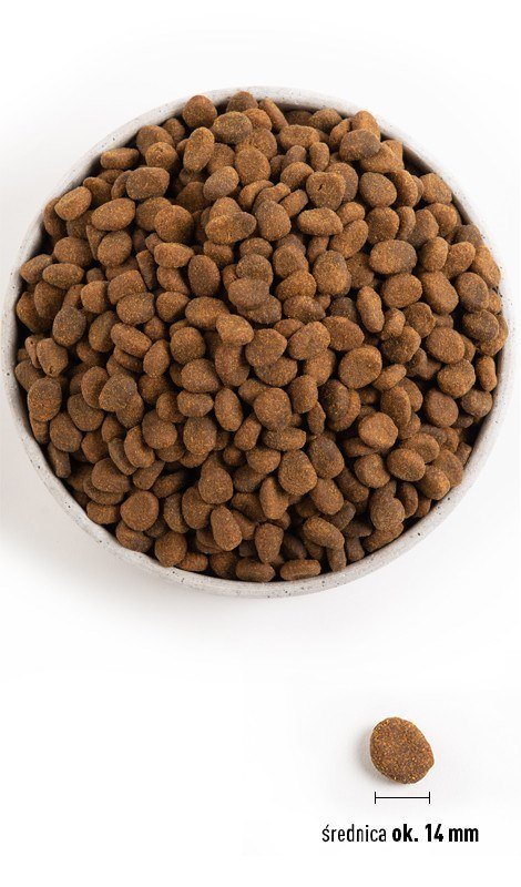 ORIJEN Tundra - sucha karma dla psa - 11,4kg ORIJEN Tundra - sucha karma dla psa - 11,4kg