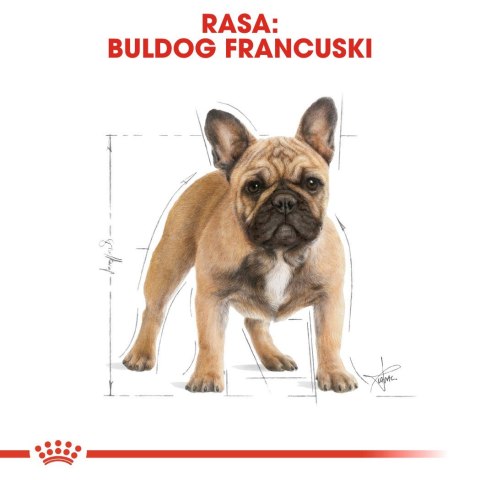 ROYAL CANIN BHN French Bulldog Adult - sucha karma dla psa dorosłego - 9kg