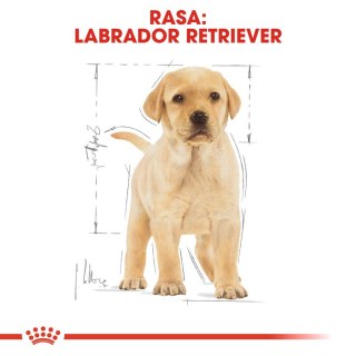 ROYAL CANIN BHN Labrador Retriever Puppy - sucha karma dla szczeniąt - 3kg