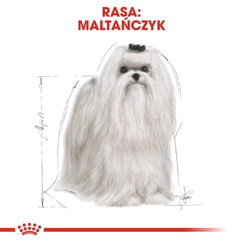 ROYAL CANIN BHN Maltese Adult - sucha karma dla psa dorosłego - 1,5kg