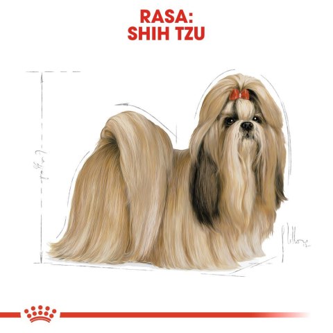 ROYAL CANIN BHN Shih Tzu Adult - sucha karma dla psa dorosłego - 1,5 kg